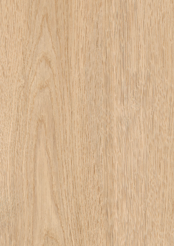 7120_7_Carpenter Oak