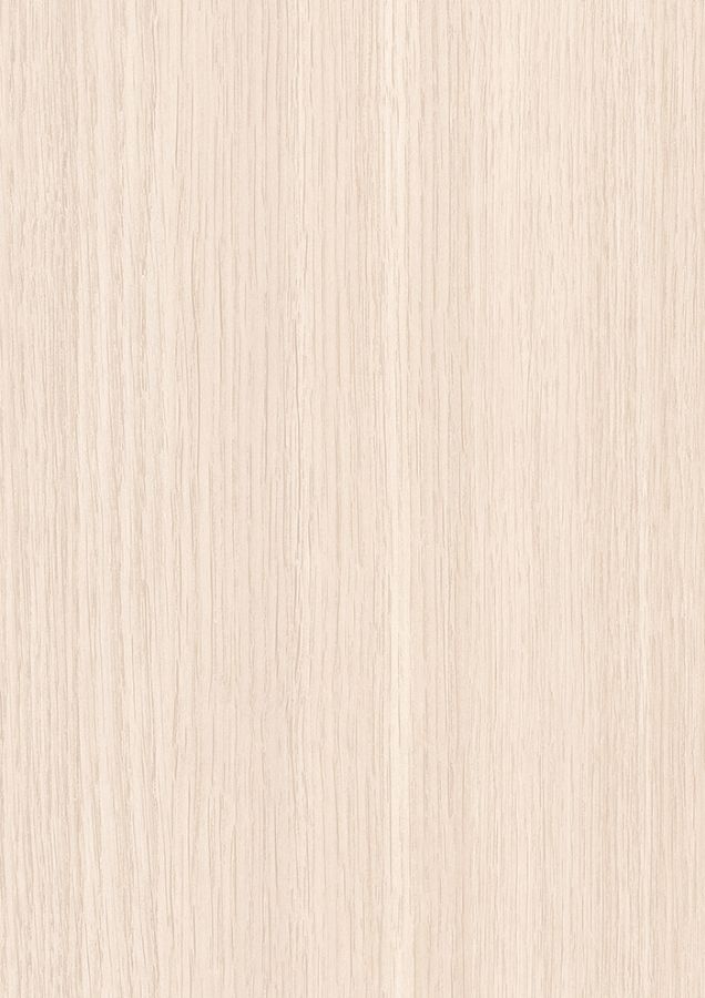 7110_Mw_Sandy Arabica