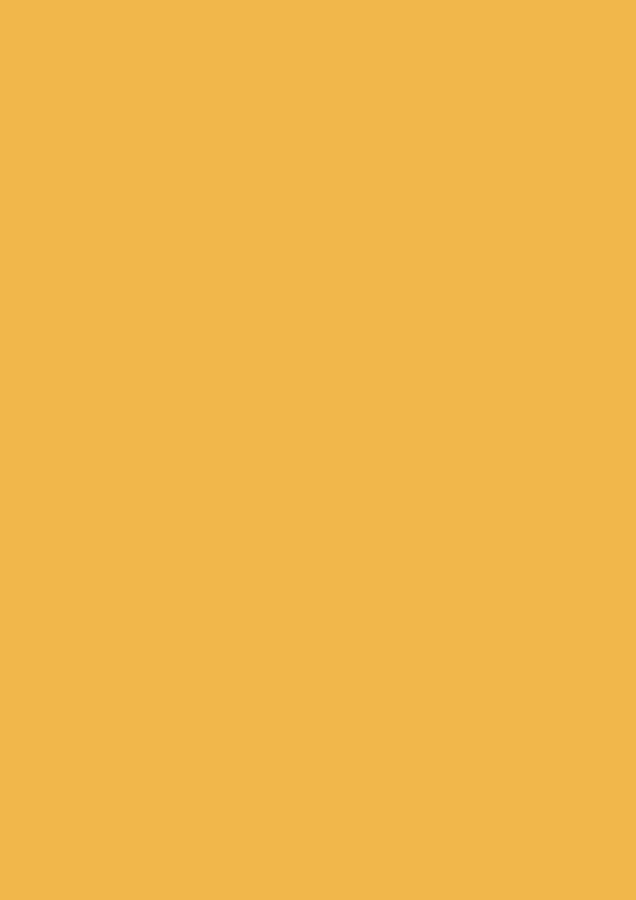 1062_6_Yellow