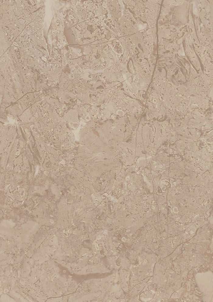 2907_S_Turkish liquor