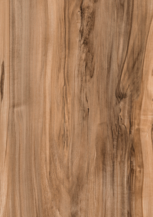 3247_P_Indian Rosewood